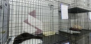Ветеринарная клиника Статус-Вет на метро Автозаводская