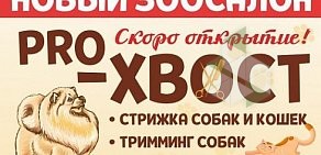 Зоосалон Pro-Хвост на Дворцовом проспекте в Ломоносове