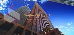 Инвестиционно-консалтинговая компания Wolfline Capital