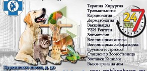 Ветеринарная клиника КЕНТАВР в Куркино 