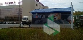 Сеть пунктов замены масла Mobil 1 Центр на улице Блюхера