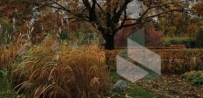 Парк Большой розарий в парке Сокольники