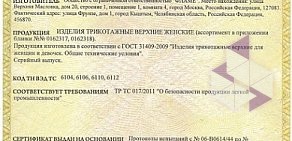 Магазин одежды Кыштымский трикотаж на Посадской улице