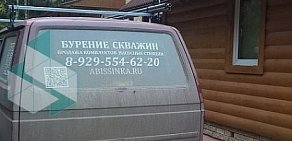 Компания Абиссинские колодцы