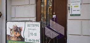 Ветеринарная клиника Веттерра на проспекте Ленина