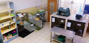 Ветеринарная клиника Айболит на Ключевской улице 