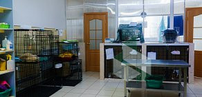 Ветеринарная клиника Айболит на Ключевской улице 