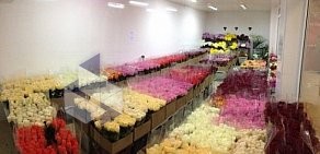 Магазин Городская база цветов в Фрязино