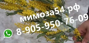 Торговая компания Мимоза54