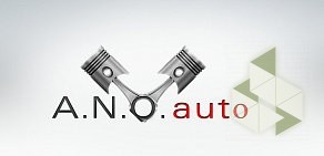 A.N.O. auto