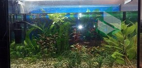 Магазин аквариумов Аквариумный мир на улице Бурова