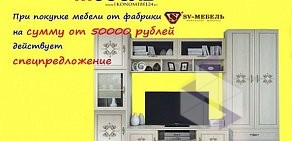 Сеть магазинов мягкой и корпусной мебели Эконом Мебель на Комсомольском проспекте