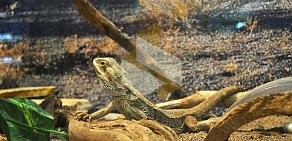 Выставка рептилий Croco Park в ТРК Гулливер
