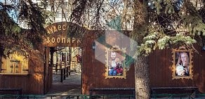 Контактный зоопарк на Пушкинской улице