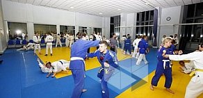 Спортивный клуб боевых искусств Сибирский Барс на метро Коломенская 