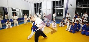 Спортивный клуб боевых искусств Сибирский Барс на метро Коломенская 
