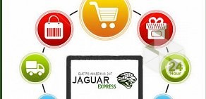Jaguar Express