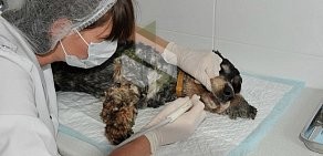 Ветеринарный центр ВетЭксперт на улице Щапова