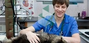 Ветеринарная клиника Вет ОБЛ в Ивантеевке