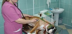 Ветеринарная клиника Вет ОБЛ в Ивантеевке