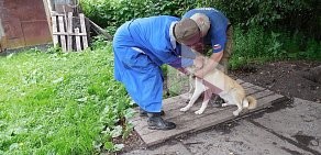 Ветеринарная клиника тульская областная ветеринарная станция по борьбе с болезнями животных