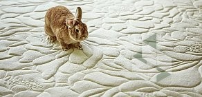 Химчистка Carpet Plaza Cleaning