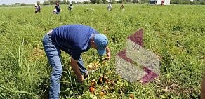 Министерство сельского хозяйства и продовольствия Республики Дагестан