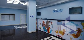 Ветеринарный центр здоровья и реабилитации животных Zoostatus на Варшавском шоссе