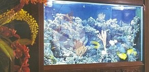 Фирма по обслуживанию аквариумов Аквасервис
