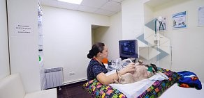 Ветеринарная клиника Здоровье животных на Кольцовской улице