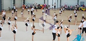 Сеть школ художественной гимнастики Pirouette на Берёзовой улице