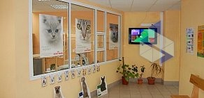 Ветеринарная клиника Лео-Вет в Ивантеевке