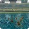 Спортивный клуб синхронного плавания Ариана на метро Ботанический сад