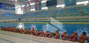 Спортивный клуб синхронного плавания Ариана на метро Выхино