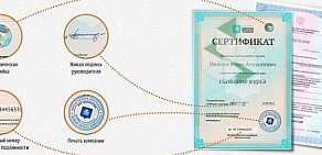 Санкт-Петербургская школа телевидения