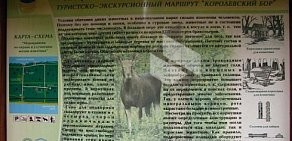 Детско-юношеский центр экологии, краеведения и туризма