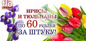 Сеть цветочных салонов Flo fresh flowers на Первомайской улице