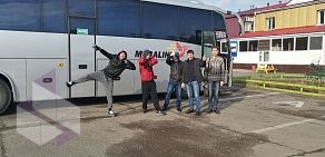Компания по перевозке пассажиров автобусами Megaliner