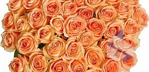 Салон цветов Розы33