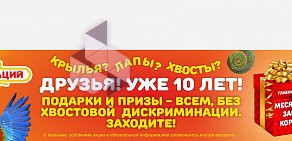 Зоомагазин Бонифаций на Комсомольском проспекте в Краснокамске