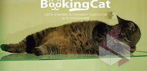 Гостиница для животных BookingCat на Восточно-Кругликовской улице 