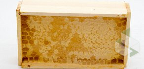 Сеть медовых эколавок в Марфино