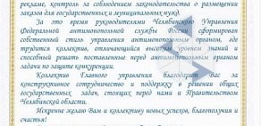 Управление Федеральной антимонопольной службы по Челябинской области