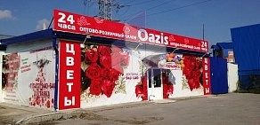Оптово-розничный салон цветов и подарков Оазис24