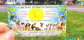 Ветеринарная клиника ВетСвет в Советском районе