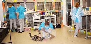 Ветеринарная клиника Центр здоровья животных в Орджоникидзевском районе 
