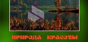 Галерея Каменный пояс