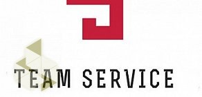 Защита от угона Team Service