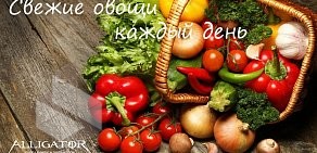 Торговая компания Аллигатор