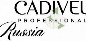 Школа красоты Hair Expert на Пулковском шоссе